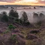 't Haasnestje Harderwijk