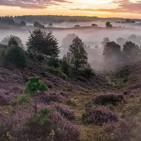 't Haasnestje ハルデルウェイク