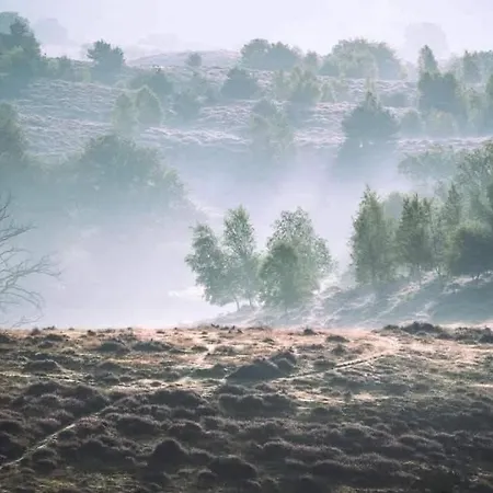 't Haasnestje ハルデルウェイク