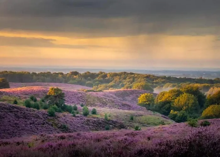 Chalet 't Haasnestje