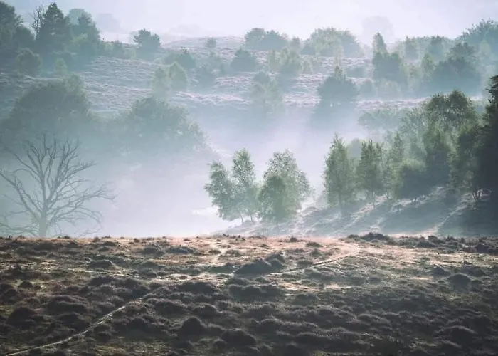 't Haasnestje Harderwijk