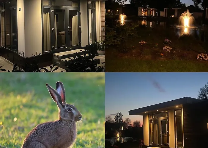 Chalet 't Haasnestje Harderwijk